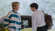Image My Stubborn (2025)