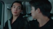 Image My Stubborn (2025)