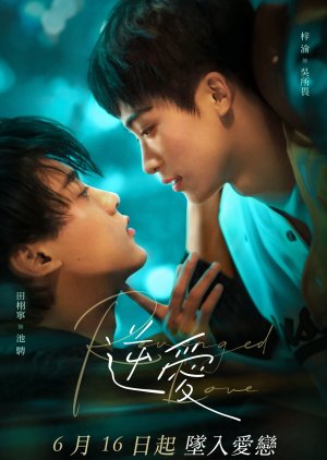 Image Revenged Love (2025)